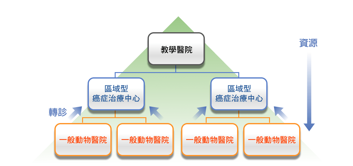 狗腫瘤,狗癌症,寵物腫瘤,寵物癌症治療藥物研發公司-動物癌症治療網架構圖