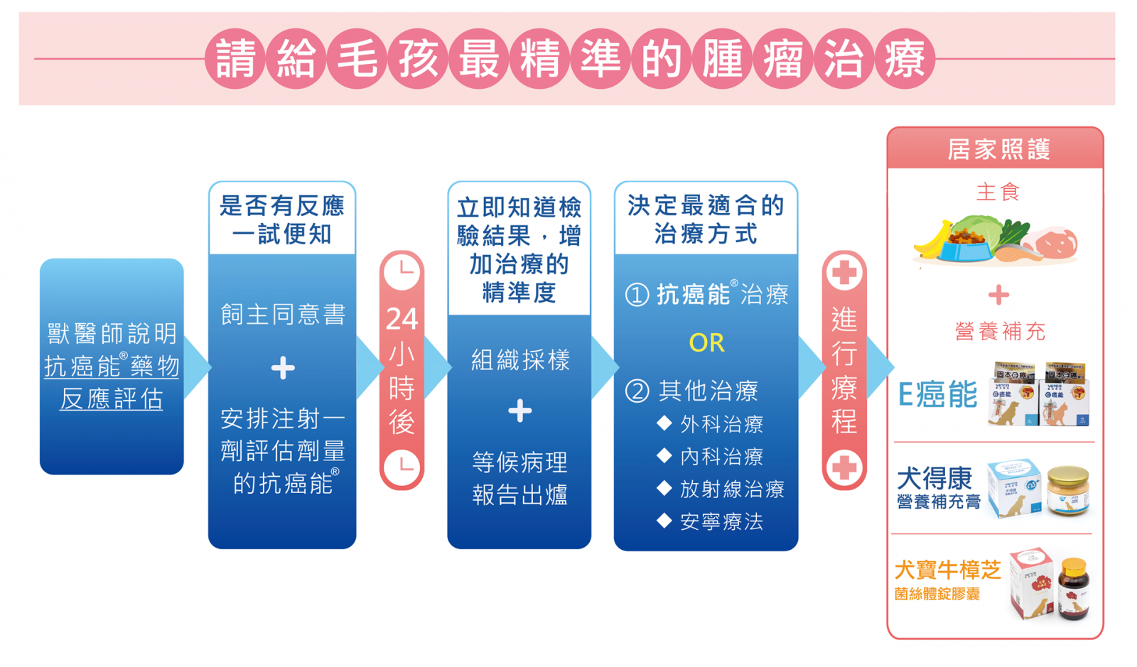 狗腫瘤,狗癌症,寵物腫瘤,寵物癌症治療藥物研發公司-腫瘤藥物反應評估＋抗癌能使用流程